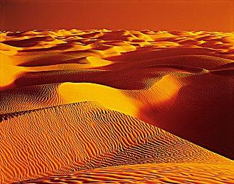 《猛鬼大厦》正统续作《猛鬼大厦2：二楼的辫子姑娘》2月14日恐怖辫子现身！